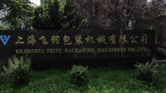 上海飛宇機械の自動ネジ釘ファスナーハードウェア袋詰めボクシング梱包包装機器